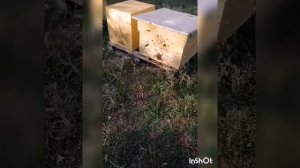 Минус шнура ТЭДА