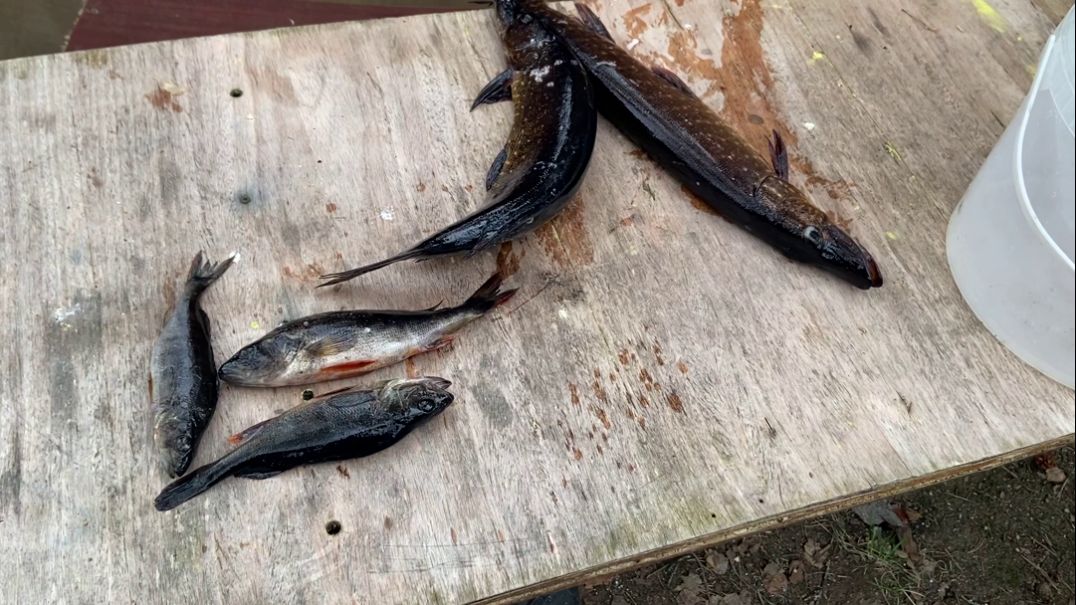 Рыбалка в Карелии. Постройка избы. Фильм 2 отдых и путешествие смотреть онлайн