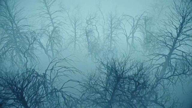 ДУША ВЕДЬМЫ Как узнать что ты ведьма. Признаки Скрытой ВЕДЬМЫ. Чёрная Магия Колдун Ведьмак. смотреть онлайн