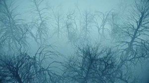 ДУША ВЕДЬМЫ Как узнать что ты ведьма. Признаки Скрытой ВЕДЬМЫ. Чёрная Магия Колдун Ведьмак.