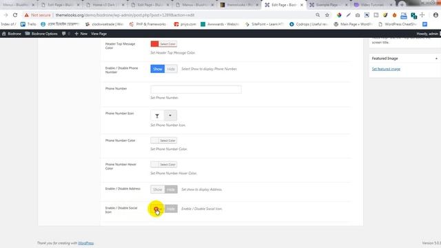 Custom Page Settings | Bizdrone - Multipurpose WordPress Theme смотреть онлайн