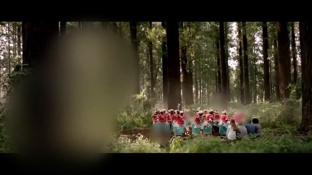 Copy of Discover the best of South Africa смотреть онлайн