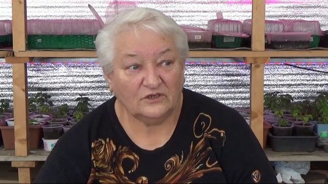 13/20  Как сделать теплые грядки. Советы от мамы.