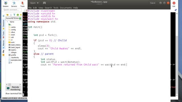 Fork Exec Coding Example смотреть онлайн