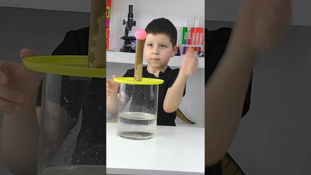 Влияет ли масса тела на его инертность? #экспериментыдлядетей #наука_ая #опытысдетьми #инерция смотреть онлайн