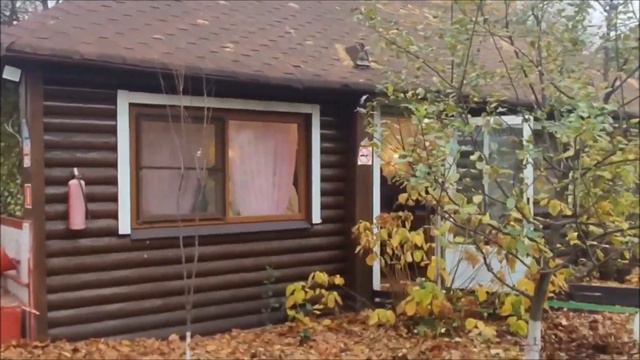 Русская Городская Община и Народная Солидарность, 4 ноября в парке Сокольники смотреть онлайн