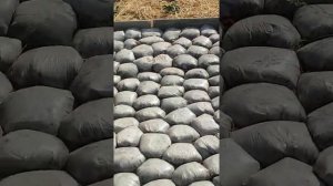 Дорожка из цемента в пакетах.