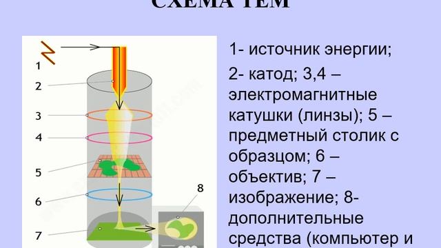 № 1 электронная микроскопия смотреть онлайн