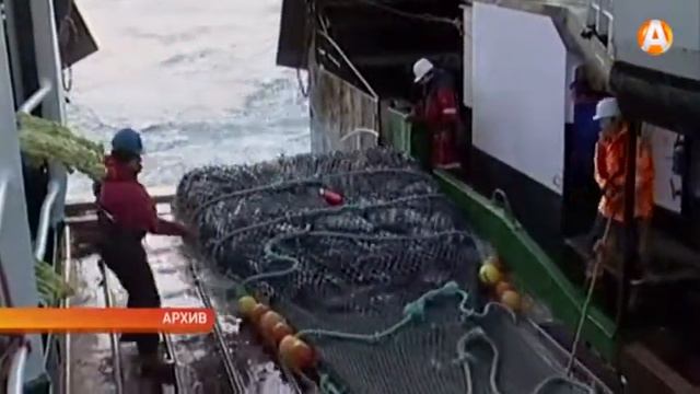Рыбаки наращивают вылов морепродуктов смотреть онлайн
