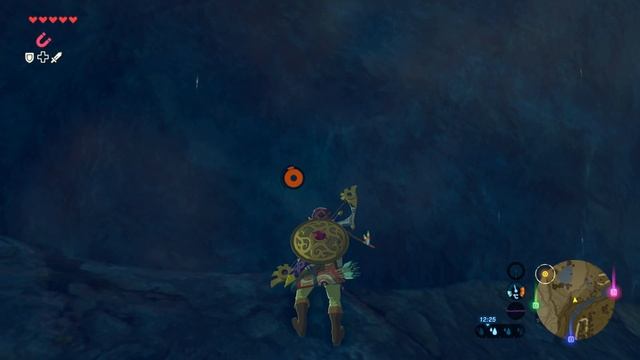 ПУТЬ ВО ВЛАДЕНИЯ ЗОРА ► The Legend of Zelda: Breath of the Wild #51 смотреть онлайн