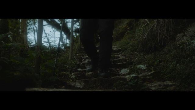 Путешествие двух друзей по Тисо-Самшитовым рощам смотреть онлайн