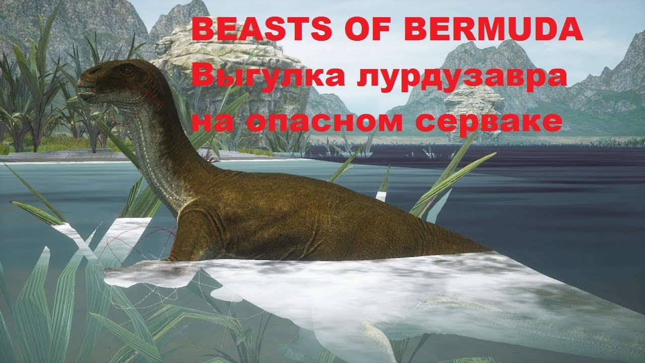 Beasts of Bermuda. Выгулка лурдузавра на опасном серваке