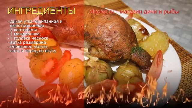 Дизайн Интерьера