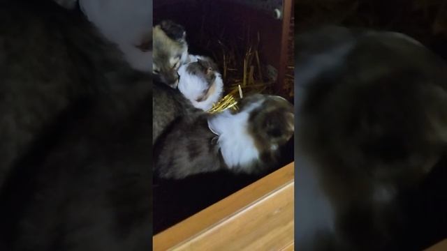 И чем же они отличаются от детей? смотреть онлайн