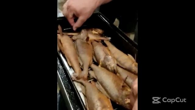 Рыбалка Астрахань, Сентябрь 2022 смотреть онлайн