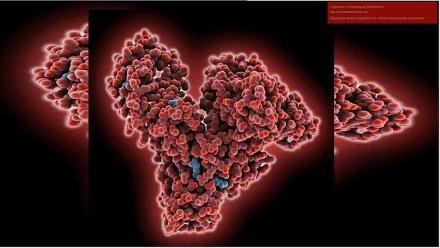 Общий анализ мочи (ОАМ), клинический анализ мочи.