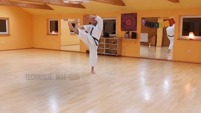 Kata HEIAN YONDAN ? | Step by step w/ technique names // Global Karate Academy смотреть онлайн