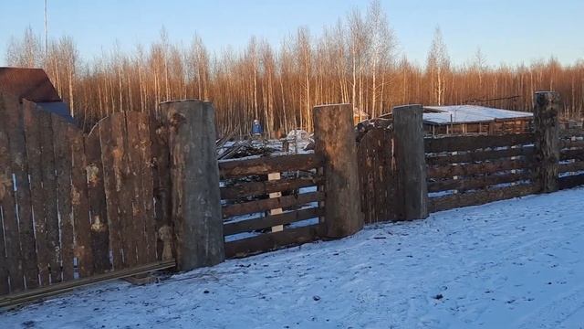 красивый забор из дерева смотреть онлайн