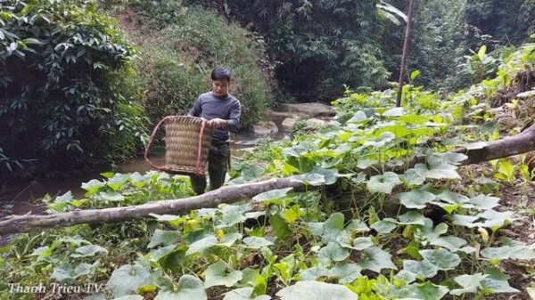 4 Months Gardening, Plant radishes, Harvesting Pumpkins-Cooking. 1 Year Living Off Grid Cabin