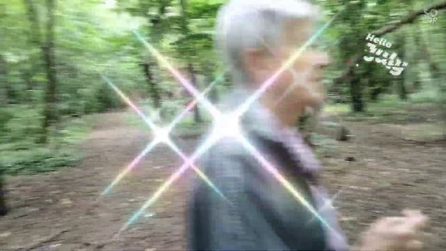 #бирюлевовосточное#нашпарклетом #дендропарклетом#веселыечихуа #стихи давайте в дружбе жить смотреть онлайн