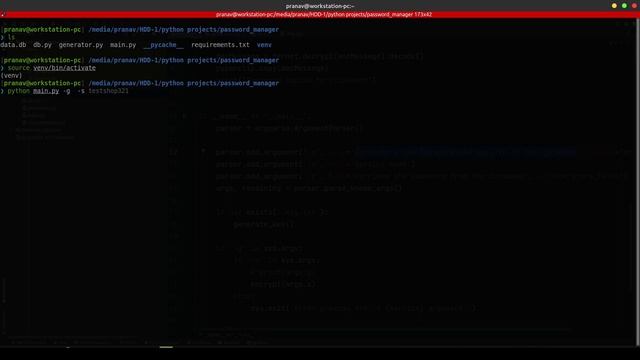 How programmers make their own tools #passwordmanager #python #OpenAI смотреть онлайн