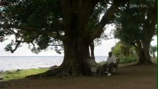 king Leopold II vs Congo смотреть онлайн