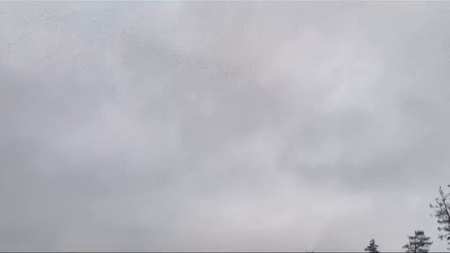 Наши бойцы, заметив FPV дрон противника, массированным огнем съели его на подлетел к их позициям. смотреть онлайн