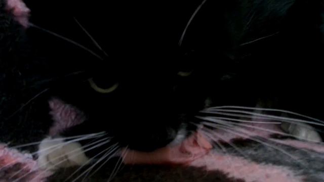 SAM 0384 Виктор Гусев Ставрово смотреть онлайн