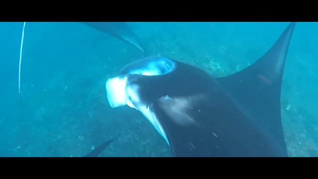 #СуперГерои⚡- Остров⚡ смотреть онлайн