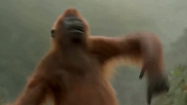 Серёженька . смотреть онлайн