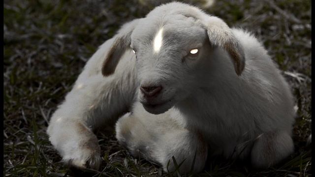 run run run - rebug (perfectly loop remix) смотреть онлайн