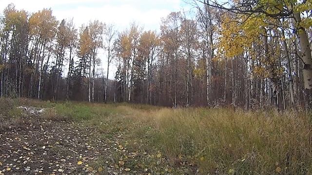 Disabled Wheelchair Hunter Shoots Trophy Whitetail Buck Split G3 with Mathews Crossbow Oct 6 2015 смотреть онлайн
