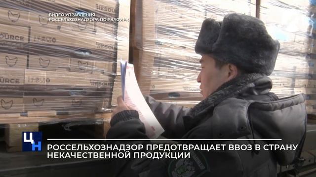 Россельхознадзор предотвращает ввоз в страну некачественой продукции смотреть онлайн