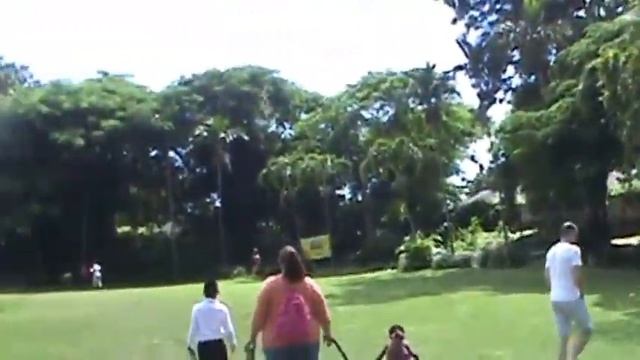 Entering Ardastra Gardens at Bahamas International Festival смотреть онлайн