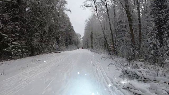 Зимняя сказка и сказочные персонажи. Ржевский лесопарк. Санкт-Петербург. смотреть онлайн