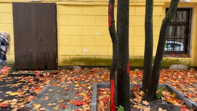 St Petersburg Travel Guide | Traveling around Russia смотреть онлайн