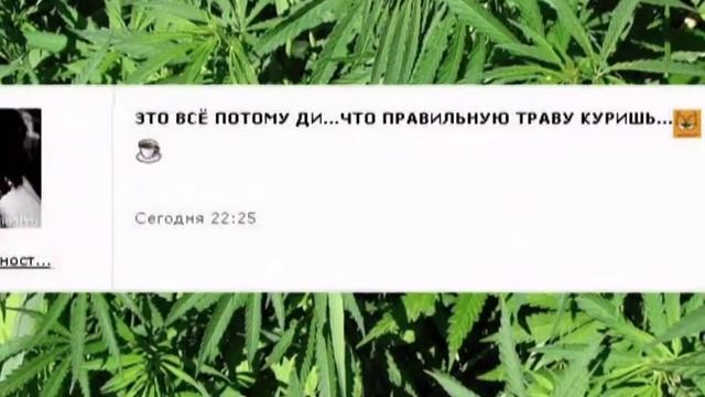 Пакистан-ХаусПати.... смотреть онлайн