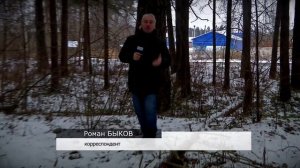 Что считается валежником