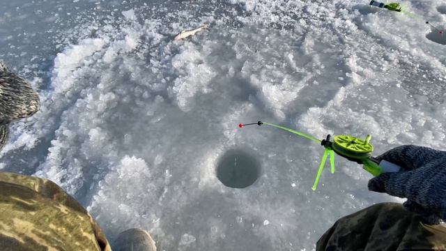 Попал на хороший клев НАВАГИ! Опустил, подсекай! смотреть онлайн