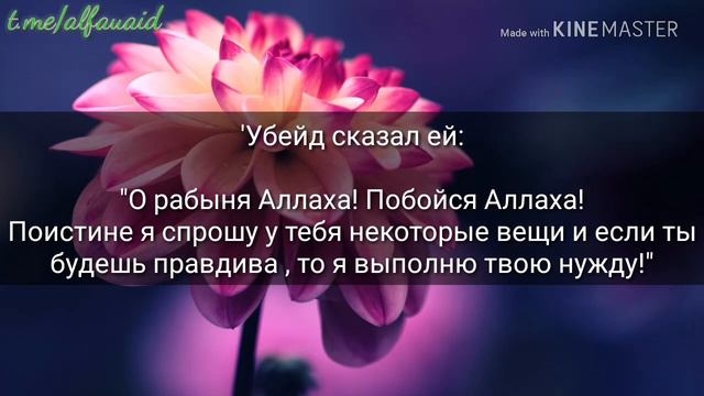 История красивой женщины - Шейх Мухаммад ибн Са'иид Раслян смотреть онлайн