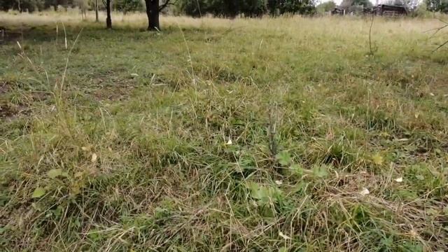 Такие сигналы нужно копать!!! #симплекс плюс