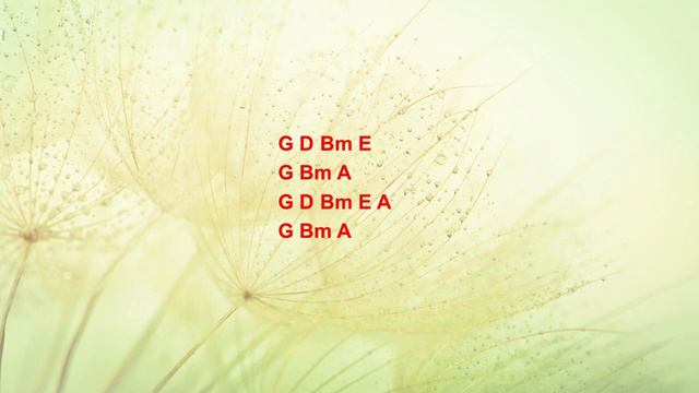 Wildflowers by Tom Petty - Easy acoustic guitar chords смотреть онлайн