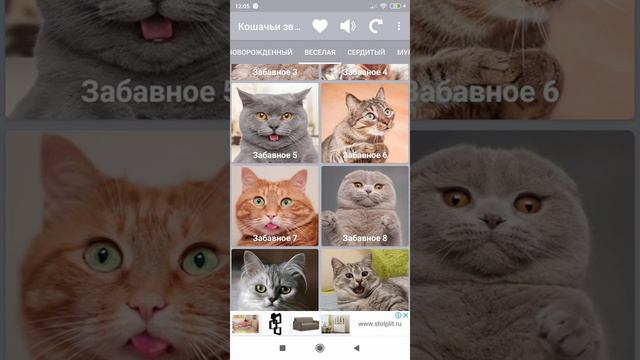 Обзор приложения Кошачьи Звуки смотреть онлайн