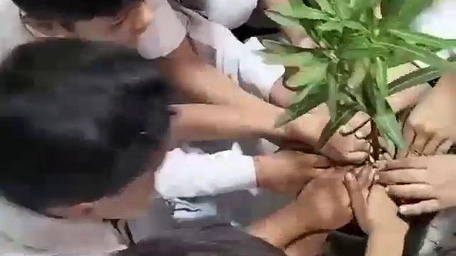 Tree Plantation Day (Organized By Oracle Public school)110053 смотреть онлайн