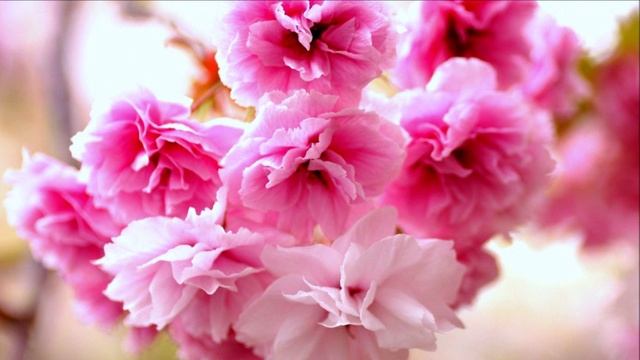 Очищающий вихрь Энергии Вознесения. Практика.