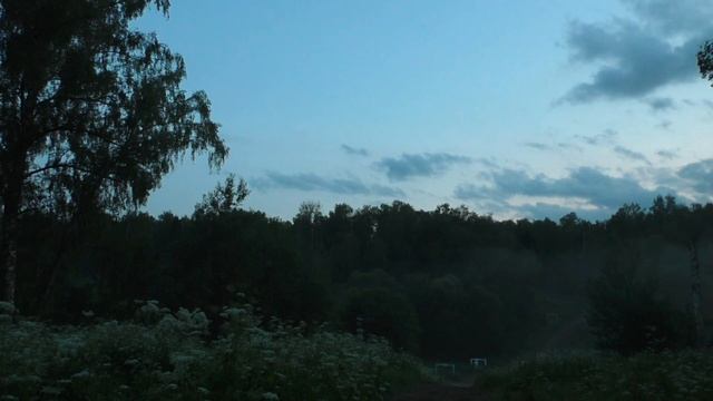 Интересное движение Тумана? и тихий лес. 20.06.2023 г. смотреть онлайн