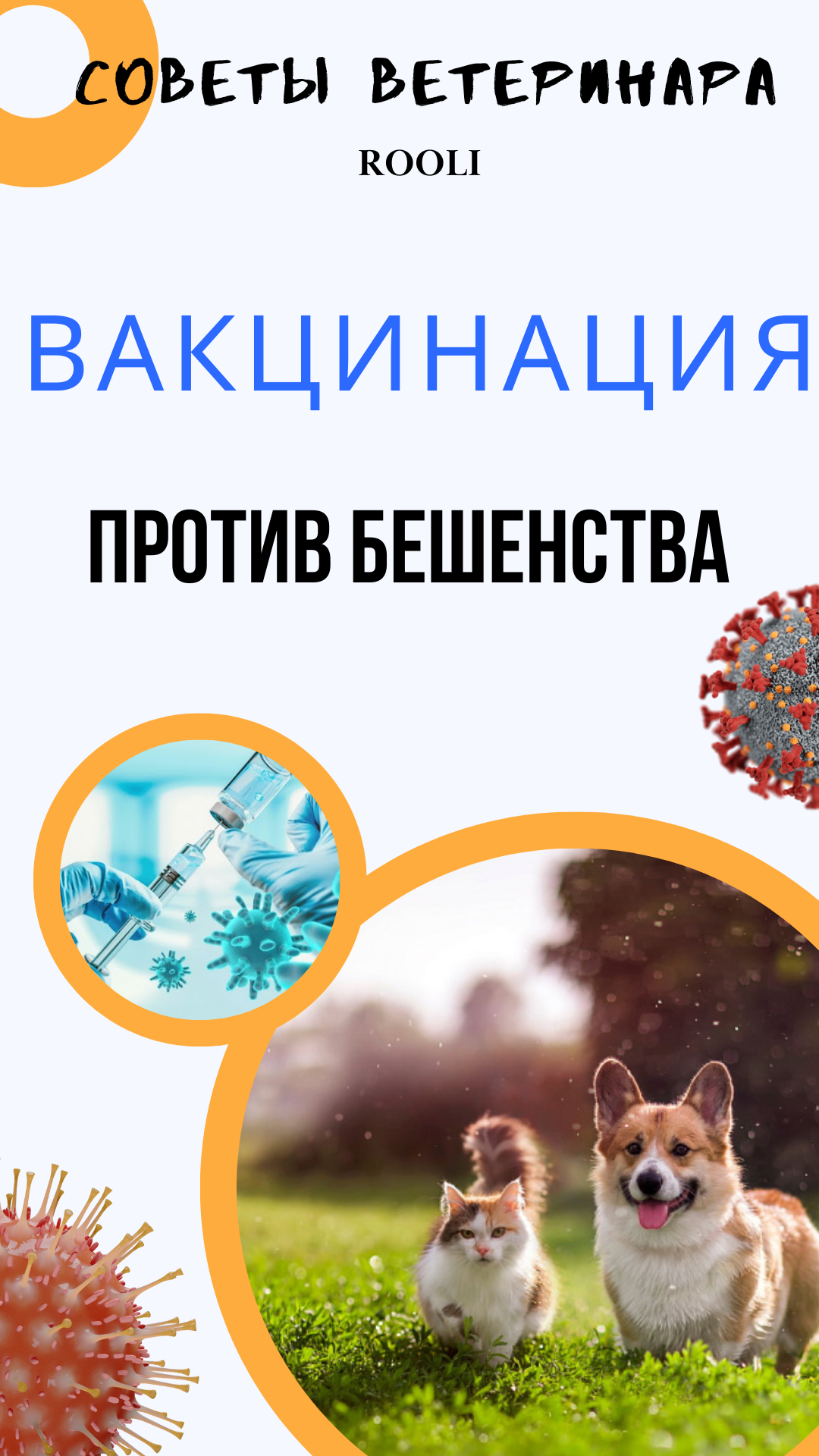Вакцинация против бешенства животным. смотреть онлайн