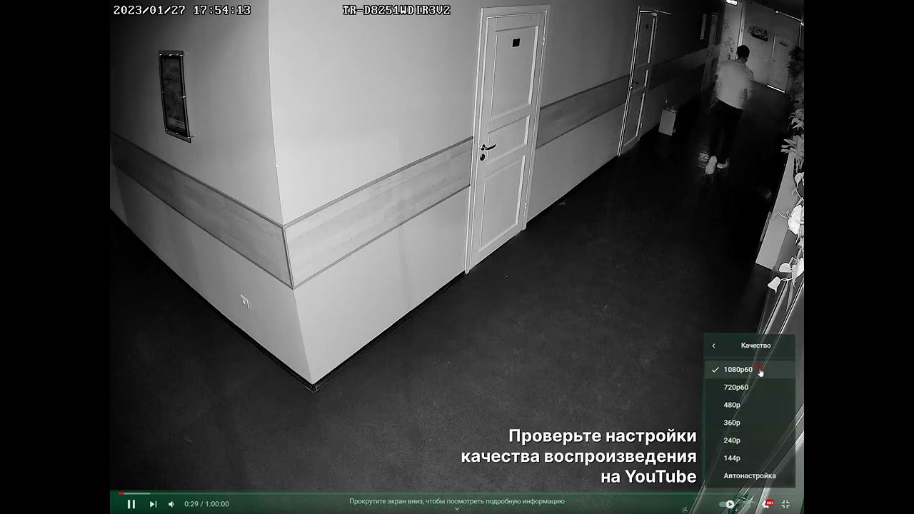 TR D8251WDIR3v2 Ночь 2.8 смотреть онлайн