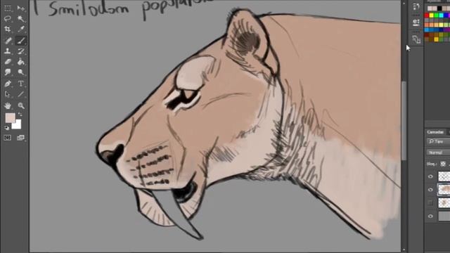 Smilodon populator (Sabertooth Cat) - Artlapse Ep. 17 смотреть онлайн