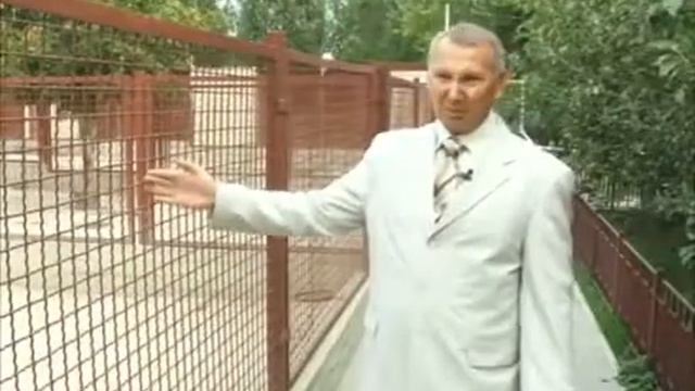 ~Всё о породе~ История породы собак "Немецкая овчарка" смотреть онлайн